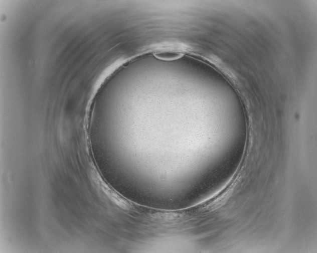 X0000059821248200510241347