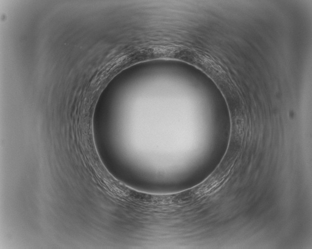 X0000059821249200510241347