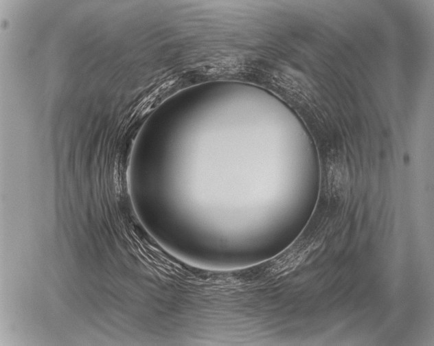 X0000059821250200510241347