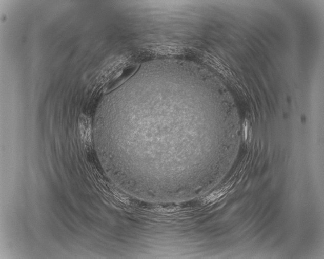 X0000059821251200510241347