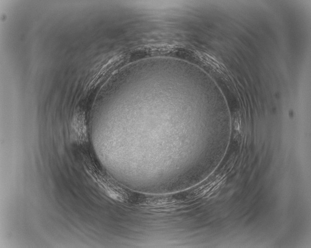 X0000059821252200510241347