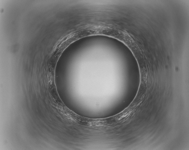 X0000059821253200510241347