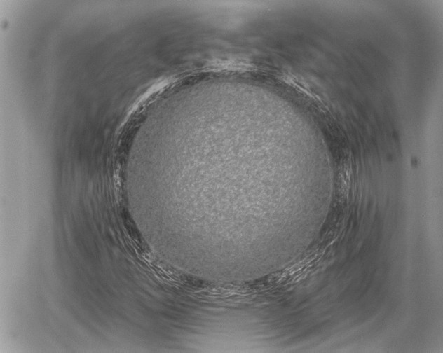 X0000059821254200510241347