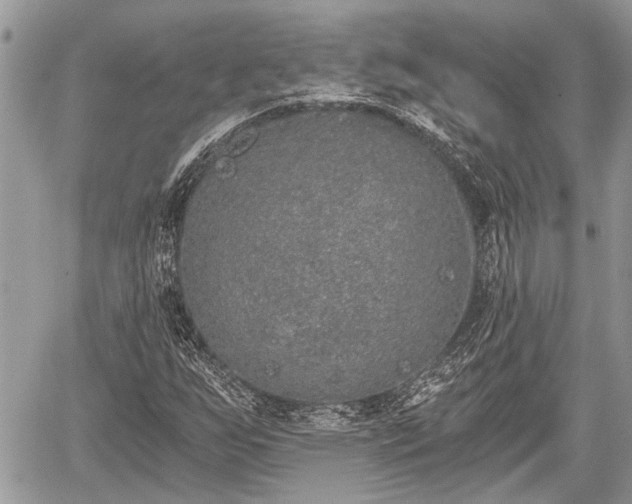 X0000059821255200510241347