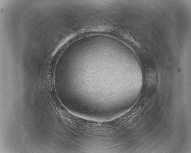 X0000059821256200510241347