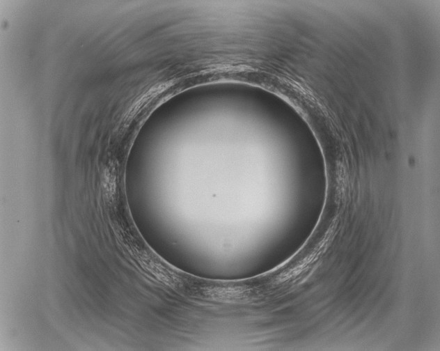 X0000059821257200510241347