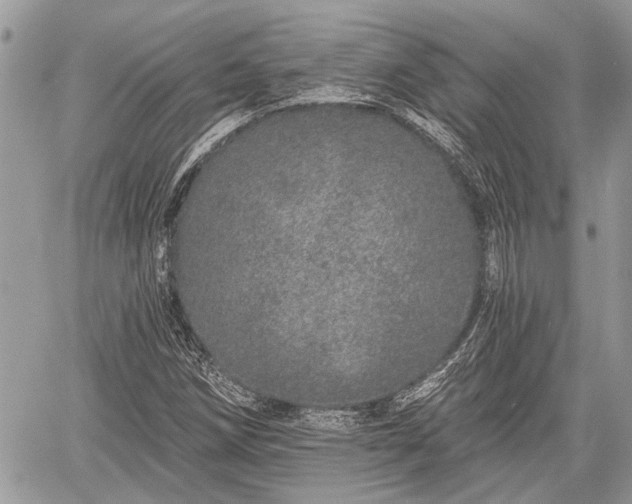 X0000059821258200510241347