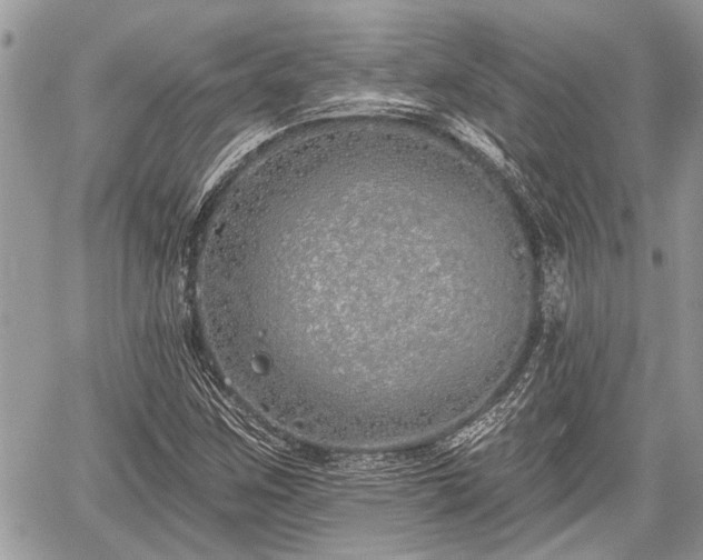 X0000059821259200510241347