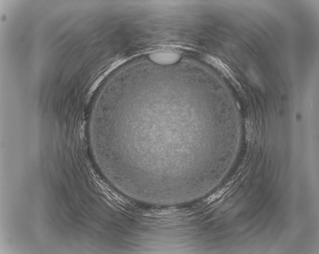 X0000059821260200510241346