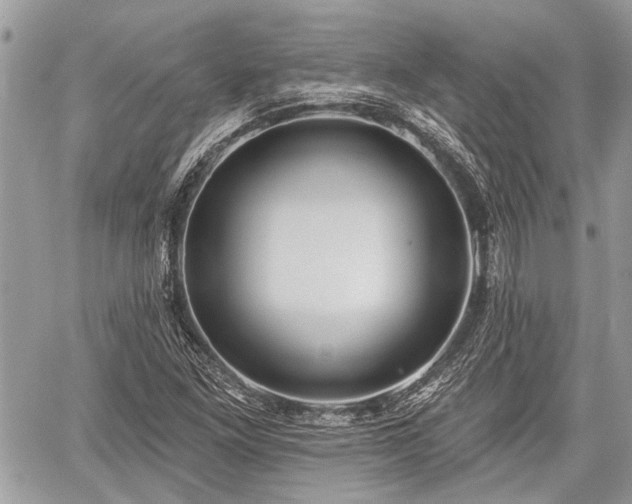 X0000059821261200510241346