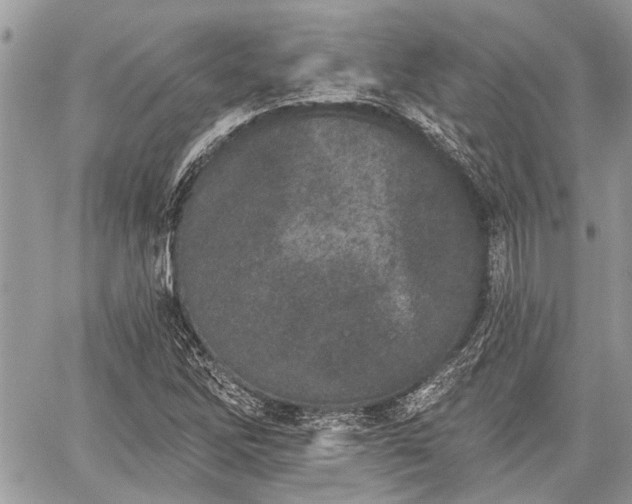 X0000059821262200510241346