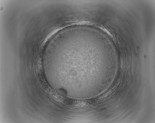 X0000059821263200510241346