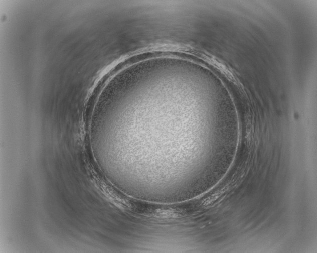 X0000059821264200510241346