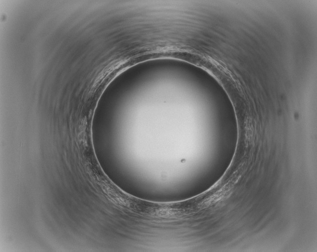 X0000059821265200510241346