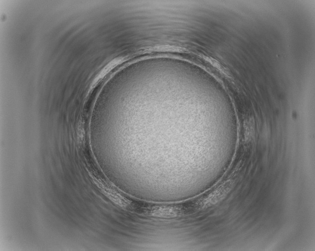 X0000059821266200510241346