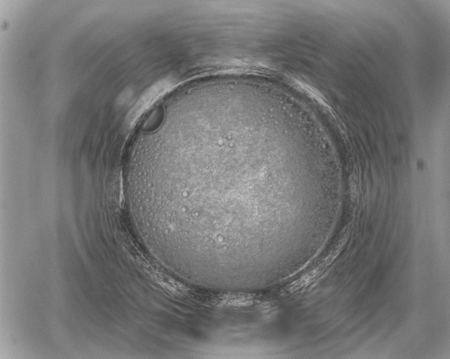 X0000059821267200510241346