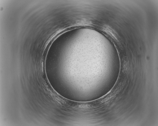 X0000059821268200510241346