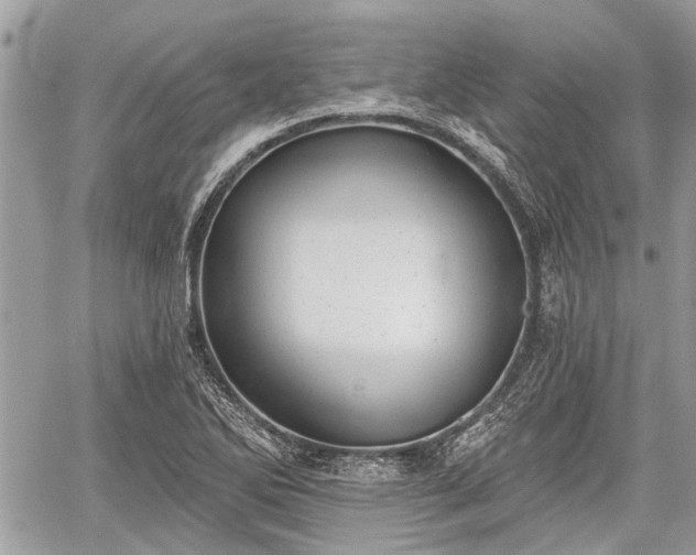 X0000059821270200510241346