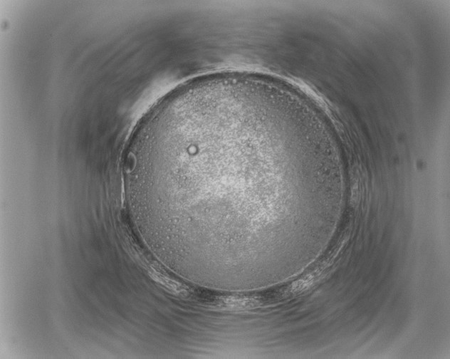 X0000059821271200510241346