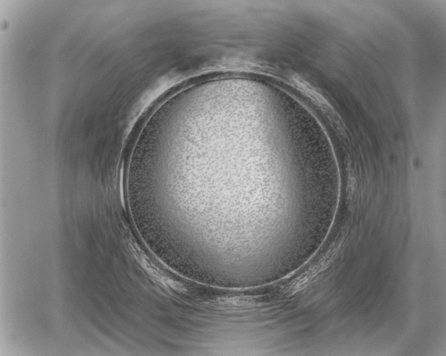 X0000059821272200510241346