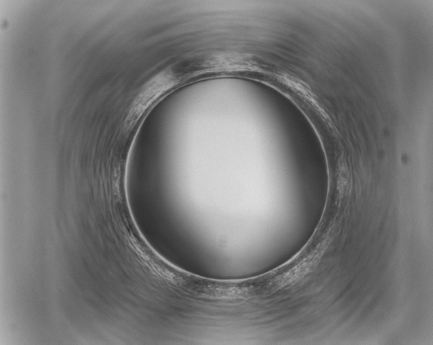 X0000059821273200510241346