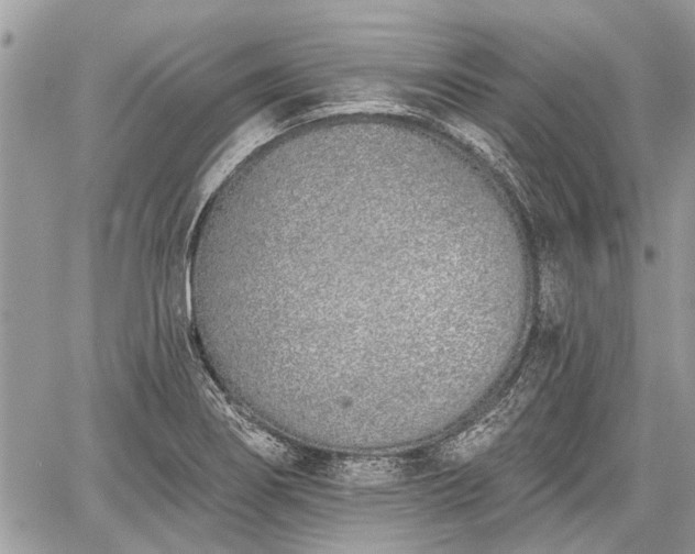 X0000059821274200510241346