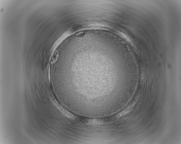 X0000059821275200510241346