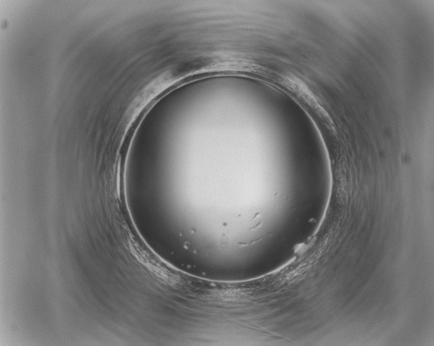 X0000059821276200510241346