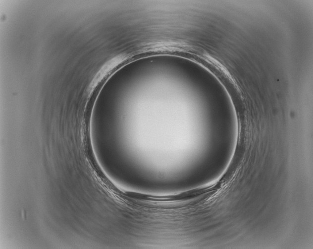 X0000059821277200510241346