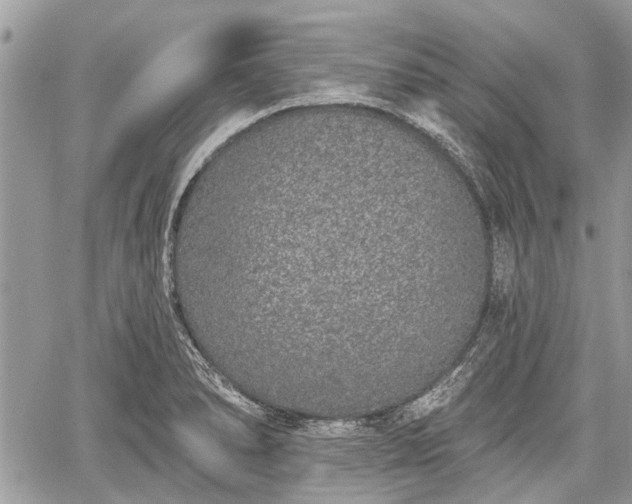 X0000059821278200510241346