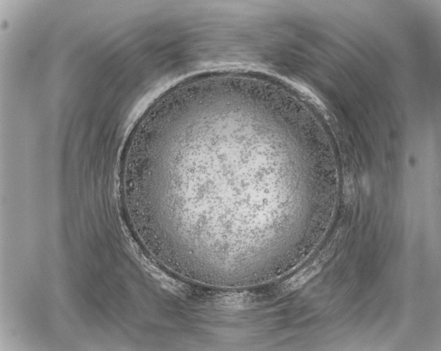 X0000059821279200510241346