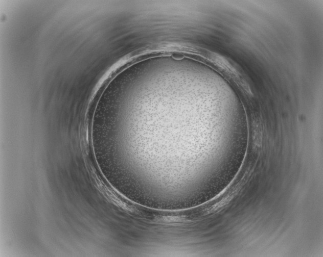 X0000059821280200510241346