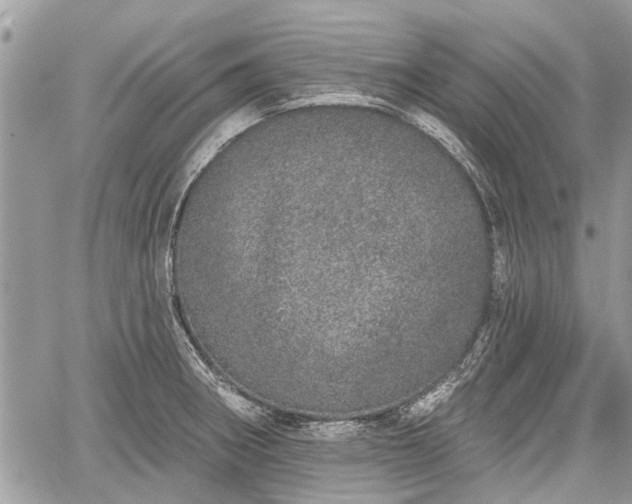 X0000059821282200510241346