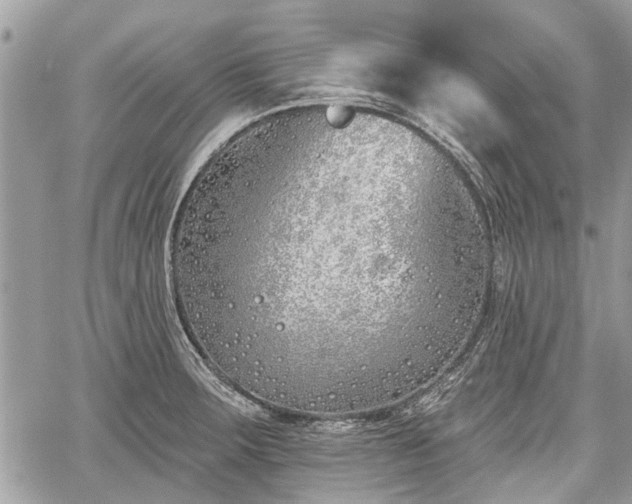 X0000059821283200510241346