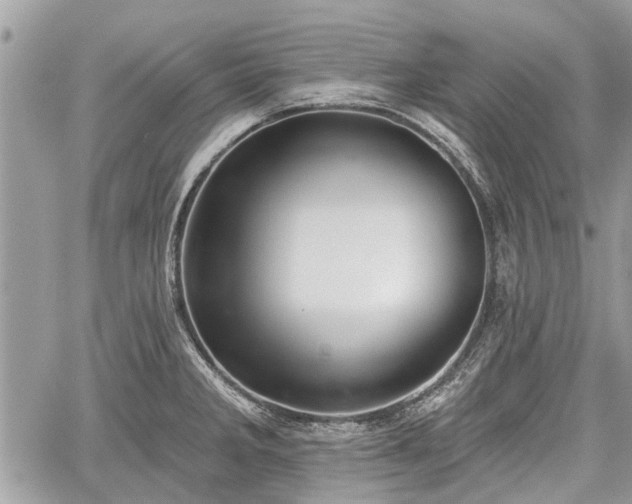 X0000059821285200510241346