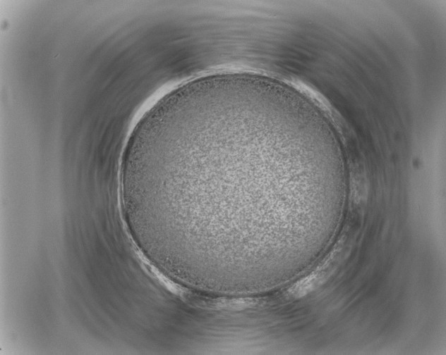 X0000059821286200510241346