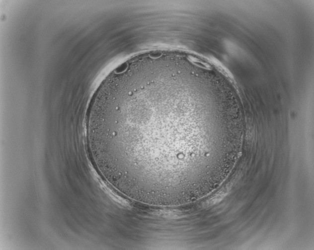 X0000059821287200510241346