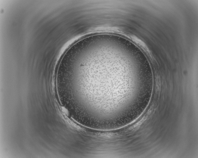 X0000059821288200510241346