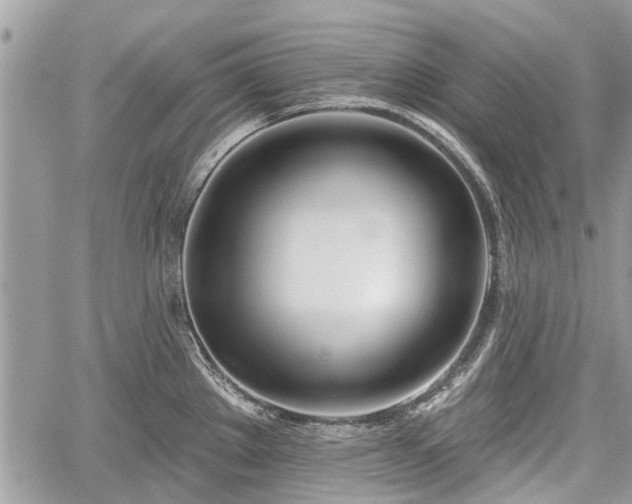 X0000059821289200510241346