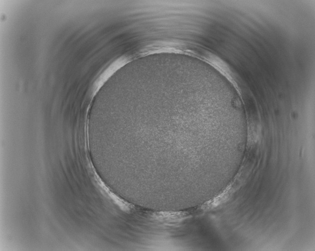 X0000059821290200510241346