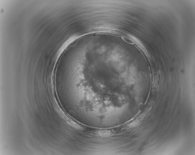 X0000059821291200510241346