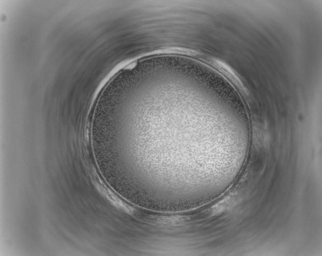 X0000059821292200510241346