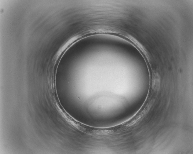 X0000059821293200510241346