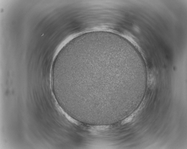 X0000059821294200510241346