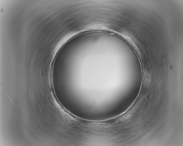 X0000059821295200510241346