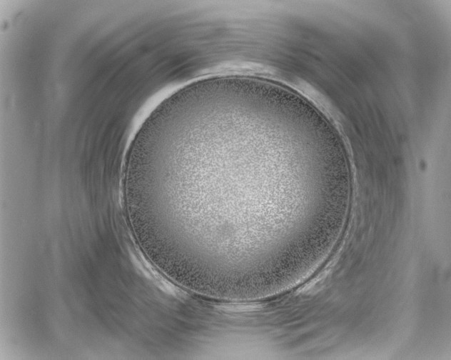 X0000059821296200510241346