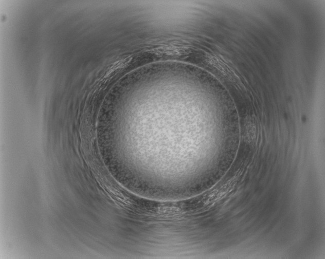 X0000059821297200510241345