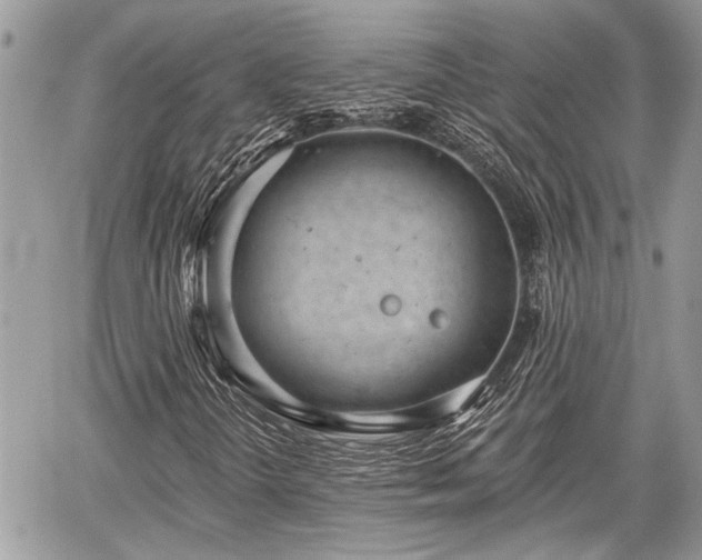 X0000059821298200510241345