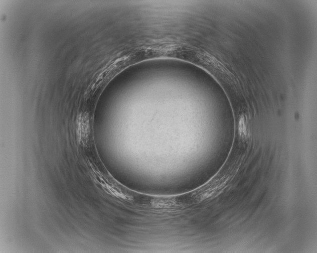 X0000059821299200510241345