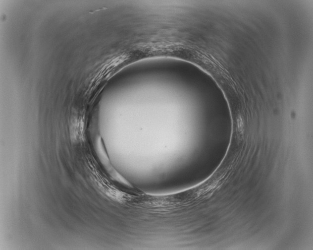 X0000059821300200510241345